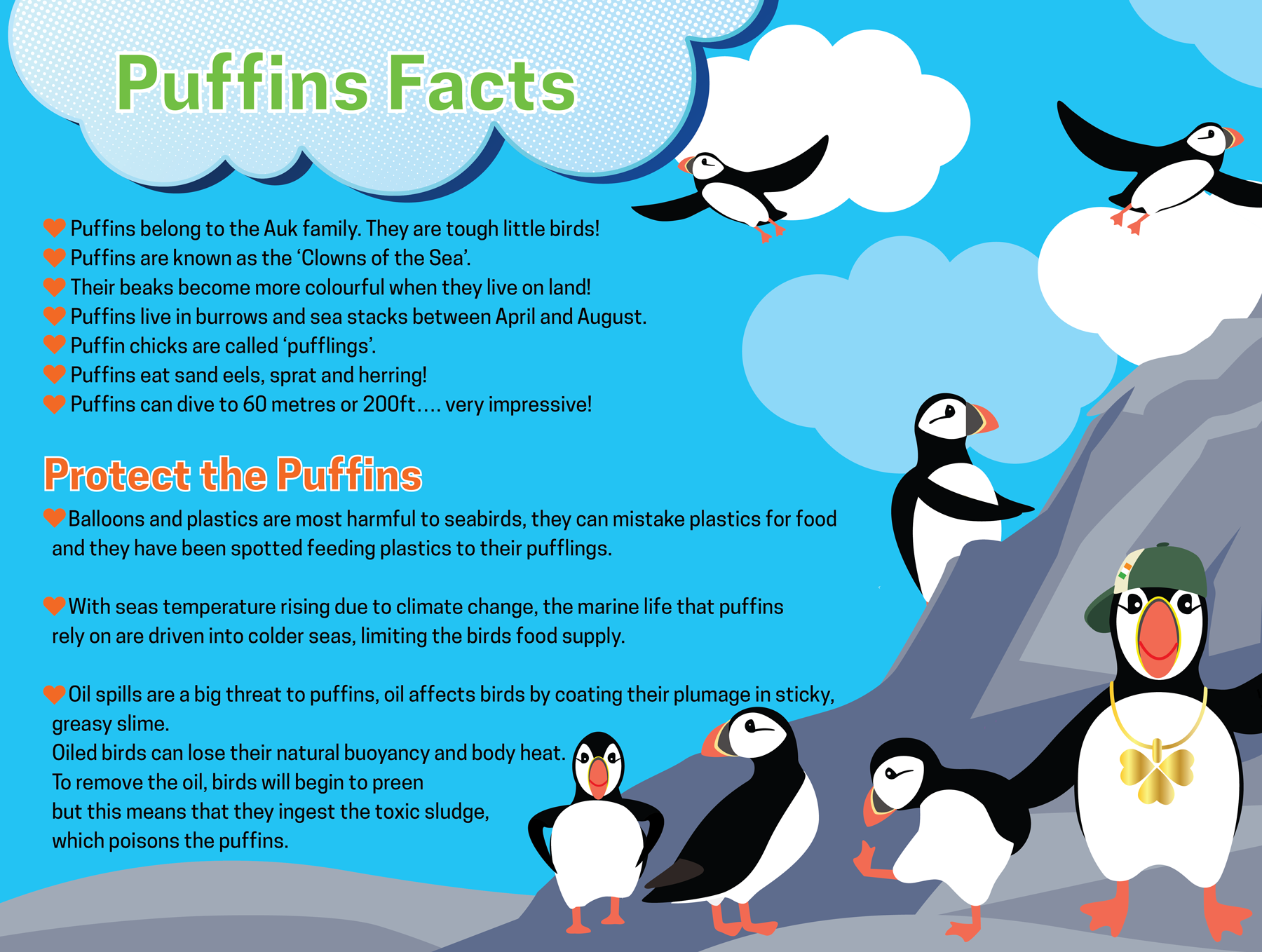 Puffin Paulie Fact Desktop