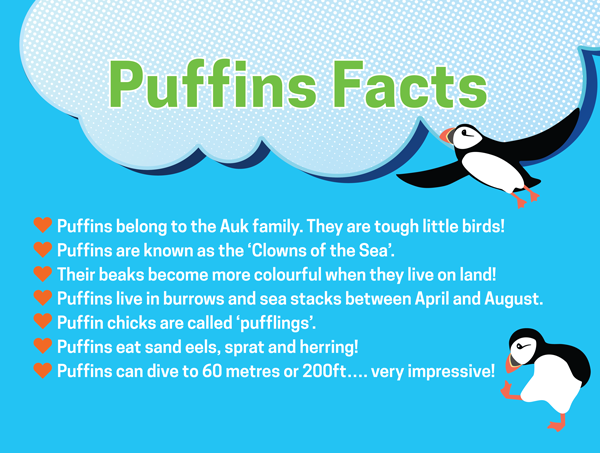 Puffin Facts mobile